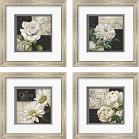 Framed Flowers on B&W 4 Piece Framed Art Print Set