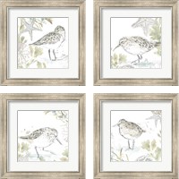 Framed 'Seaside Sandpipers 4 Piece Framed Art Print Set' border=