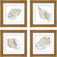 Framed Citron Shell Sketch 4 Piece Framed Art Print Set