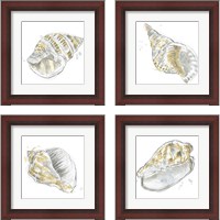 Framed 'Citron Shell Sketch 4 Piece Framed Art Print Set' border=