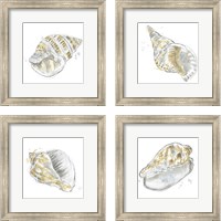 Framed Citron Shell Sketch 4 Piece Framed Art Print Set