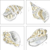 Framed 'Citron Shell Sketch 4 Piece Art Print Set' border=