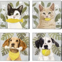 Framed 'Pet Life 4 Piece Canvas Print Set' border=