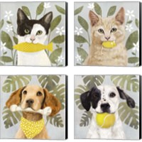 Framed Pet Life 4 Piece Canvas Print Set