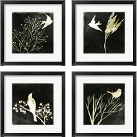 Framed 'Black Night 4 Piece Framed Art Print Set' border=