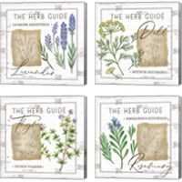 Framed 'Herb Guide 4 Piece Canvas Print Set' border=