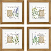 Framed Herb Guide 4 Piece Framed Art Print Set