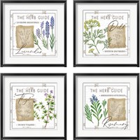Framed 'Herb Guide 4 Piece Framed Art Print Set' border=