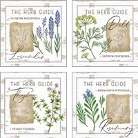 Framed Herb Guide 4 Piece Art Print Set