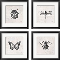 Framed Insect Stamp BW 4 Piece Framed Art Print Set