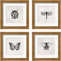 Framed Insect Stamp BW 4 Piece Framed Art Print Set