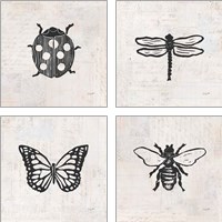 Framed Insect Stamp BW 4 Piece Art Print Set