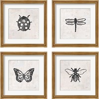 Framed Insect Stamp BW 4 Piece Framed Art Print Set