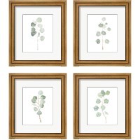 Framed 'Soft Eucalyptus Branch 4 Piece Framed Art Print Set' border=
