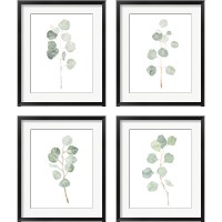 Framed 'Soft Eucalyptus Branch 4 Piece Framed Art Print Set' border=