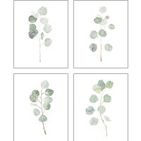 Framed 'Soft Eucalyptus Branch 4 Piece Art Print Set' border=