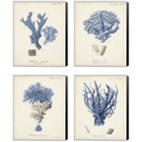 Framed 'Antique Coral in Navy 4 Piece Canvas Print Set' border=