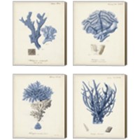 Framed Antique Coral in Navy 4 Piece Canvas Print Set
