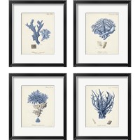 Framed Antique Coral in Navy 4 Piece Framed Art Print Set