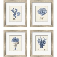 Framed Antique Coral in Navy 4 Piece Framed Art Print Set