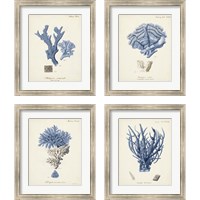 Framed 'Antique Coral in Navy 4 Piece Framed Art Print Set' border=