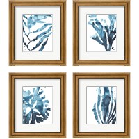 Framed 'Inkwash Kelp 4 Piece Framed Art Print Set' border=