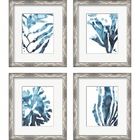 Framed 'Inkwash Kelp 4 Piece Framed Art Print Set' border=