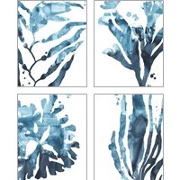 Framed Inkwash Kelp 4 Piece Art Print Set