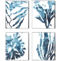 Framed 'Inkwash Kelp 4 Piece Canvas Print Set' border=