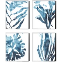 Framed 'Inkwash Kelp 4 Piece Canvas Print Set' border=
