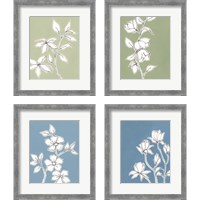 Framed 'Botanic Drawing 4 Piece Framed Art Print Set' border=