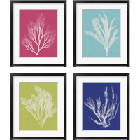 Framed 'Seaweed Pop 4 Piece Framed Art Print Set' border=