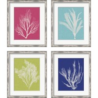 Framed 'Seaweed Pop 4 Piece Framed Art Print Set' border=