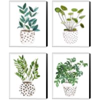 Framed 'Plant in a Pot 4 Piece Canvas Print Set' border=