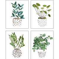 Framed 'Plant in a Pot 4 Piece Art Print Set' border=
