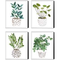 Framed 'Plant in a Pot 4 Piece Canvas Print Set' border=