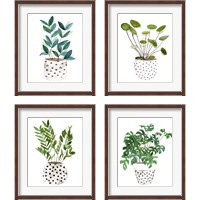 Framed 'Plant in a Pot 4 Piece Framed Art Print Set' border=