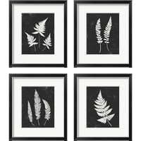 Framed Forest Shadows Black 4 Piece Framed Art Print Set