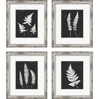 Framed Forest Shadows Black 4 Piece Framed Art Print Set