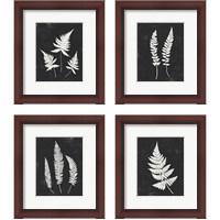 Framed 'Forest Shadows Black 4 Piece Framed Art Print Set' border=