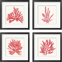 Framed Pacific Sea Mosses Red 4 Piece Framed Art Print Set