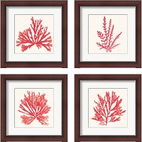 Framed 'Pacific Sea Mosses Red 4 Piece Framed Art Print Set' border=