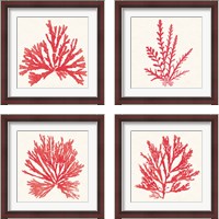 Framed Pacific Sea Mosses Red 4 Piece Framed Art Print Set