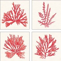 Framed Pacific Sea Mosses Red 4 Piece Art Print Set