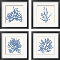 Framed 'Pacific Sea Mosses Light Blue 4 Piece Framed Art Print Set' border=