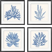 Framed Pacific Sea Mosses Light Blue 4 Piece Framed Art Print Set