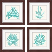 Framed 'Pacific Sea Mosses Aqua 4 Piece Framed Art Print Set' border=