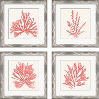 Framed 'Pacific Sea Mosses Coral 4 Piece Framed Art Print Set' border=