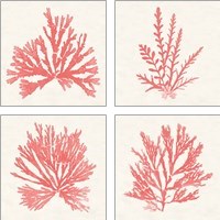 Framed 'Pacific Sea Mosses Coral 4 Piece Art Print Set' border=