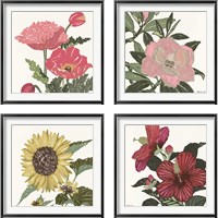 Framed 'Floral Study 4 Piece Framed Art Print Set' border=